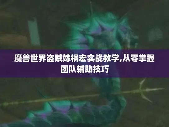 魔兽世界盗贼嫁祸宏实战教学,从零掌握团队辅助技巧