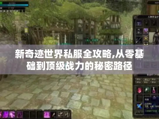 新奇迹世界私服全攻略,从零基础到顶级战力的秘密路径