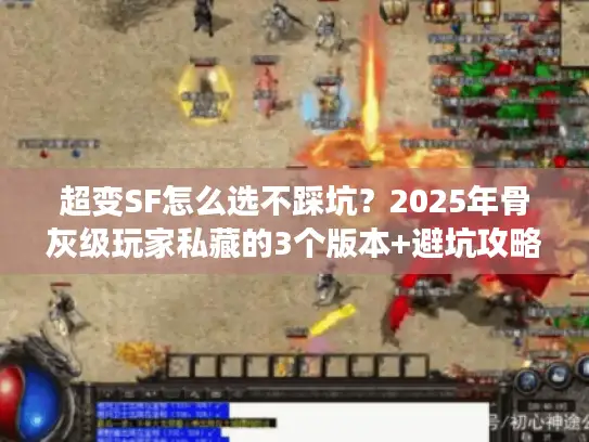 超变SF怎么选不踩坑?2025年骨灰级玩家私藏的3个版本+避坑攻略 超变SF怎么选不踩坑?2025年骨灰级玩家私藏的3个版本+避坑攻略