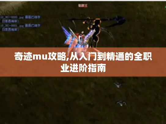 奇迹mu攻略,从入门到精通的全职业进阶指南