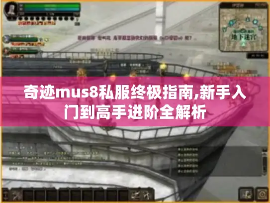 奇迹mus8私服终极指南,新手入门到高手进阶全解析