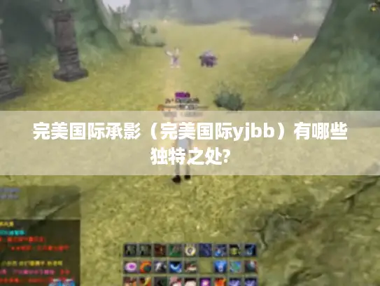 完美国际承影（完美国际yjbb）有哪些独特之处?
