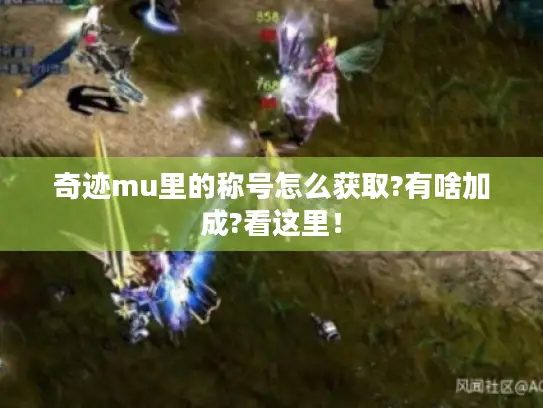 奇迹mu里的称号怎么获取?有啥加成?看这里！