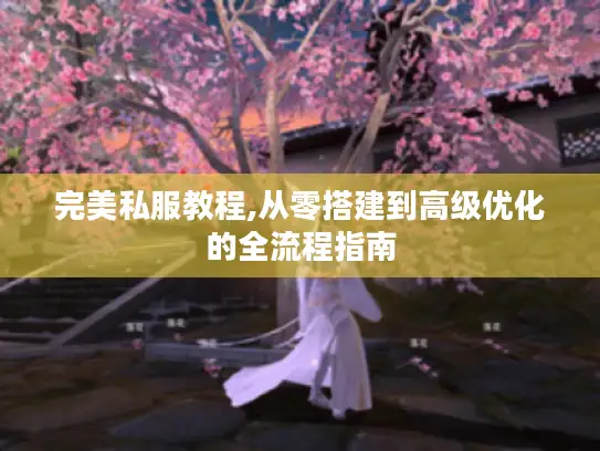 完美私服教程,从零搭建到高级优化的全流程指南