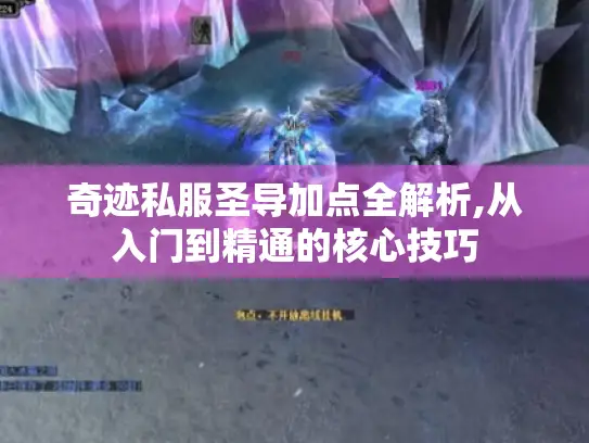 奇迹私服圣导加点全解析,从入门到精通的核心技巧