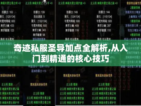 奇迹私服圣导加点全解析,从入门到精通的核心技巧