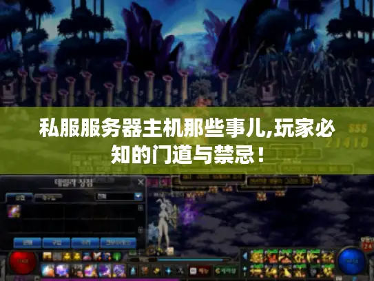 私服服务器主机那些事儿,玩家必知的门道与禁忌！