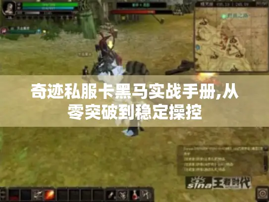 奇迹私服卡黑马实战手册,从零突破到稳定操控 奇迹私服卡黑马实战手册,从零突破到稳定操控