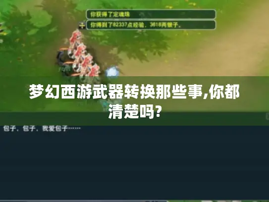 梦幻西游武器转换那些事,你都清楚吗? 梦幻西游武器转换那些事,你都清楚吗?