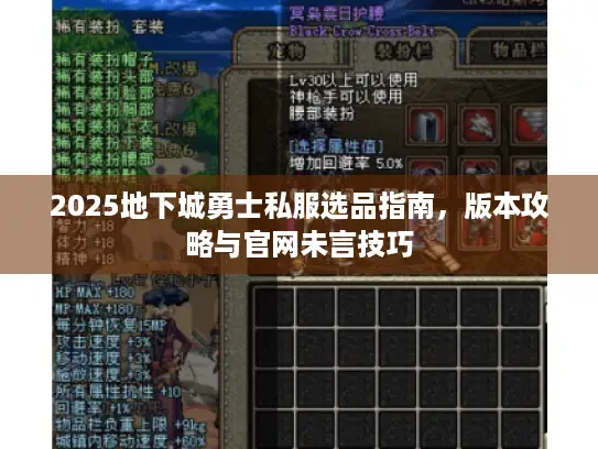 2025地下城勇士私服选品指南,版本攻略与官网未言技巧 2025地下城勇士私服选品指南,版本攻略与官网未言技巧