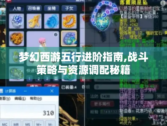 梦幻西游五行进阶指南,战斗策略与资源调配秘籍