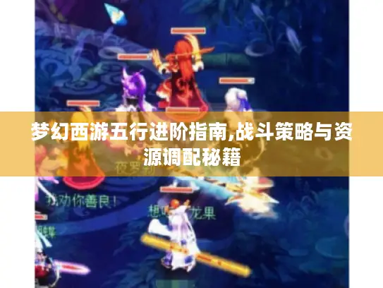 梦幻西游五行进阶指南,战斗策略与资源调配秘籍