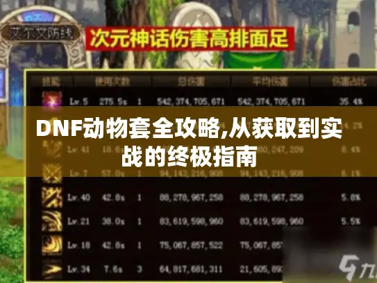 DNF动物套全攻略,从获取到实战的终极指南