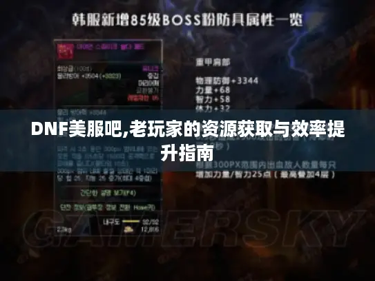 DNF美服吧,老玩家的资源获取与效率提升指南