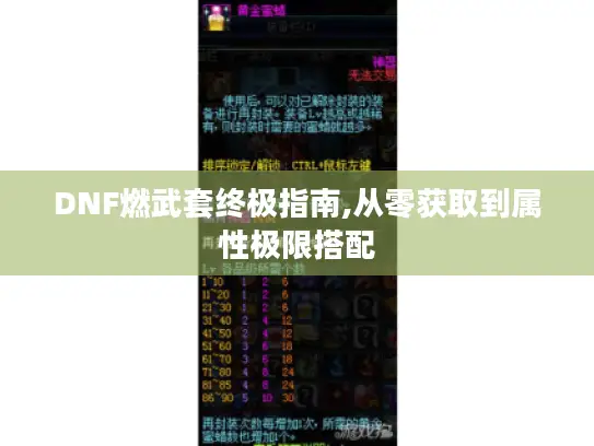 DNF燃武套终极指南,从零获取到属性极限搭配 DNF燃武套终极指南,从零获取到属性极限搭配