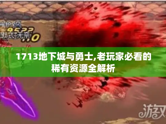 1713地下城与勇士,老玩家必看的稀有资源全解析