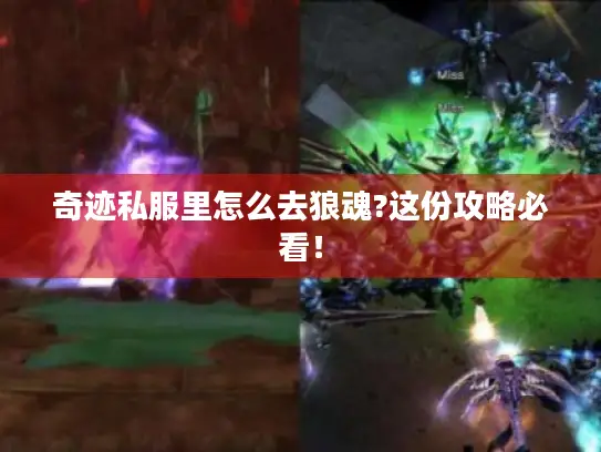 奇迹私服里怎么去狼魂?这份攻略必看! 奇迹私服里怎么去狼魂?这份攻略必看!