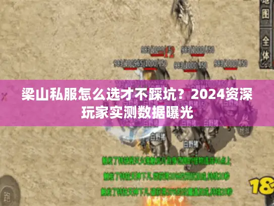 梁山私服怎么选才不踩坑？2024资深玩家实测数据曝光