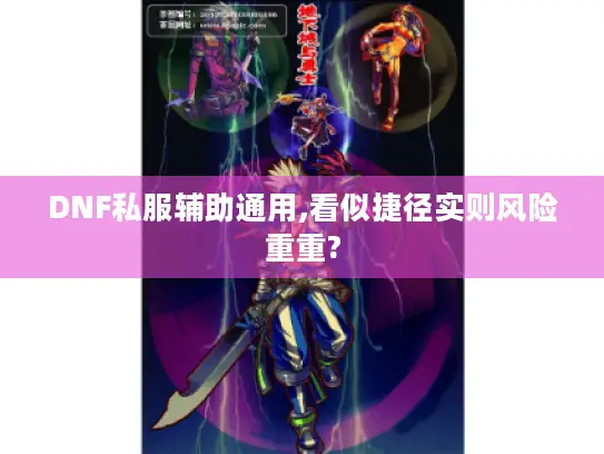 DNF私服辅助通用,看似捷径实则风险重重?