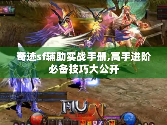 奇迹sf辅助实战手册,高手进阶必备技巧大公开 奇迹sf辅助实战手册,高手进阶必备技巧大公开