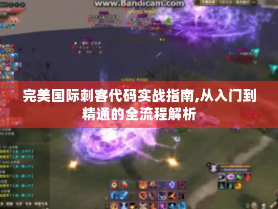 完美国际刺客代码实战指南,从入门到精通的全流程解析