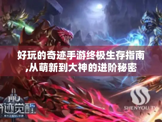 好玩的奇迹手游终极生存指南,从萌新到大神的进阶秘密