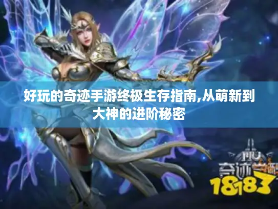 好玩的奇迹手游终极生存指南,从萌新到大神的进阶秘密