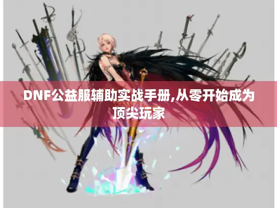 DNF公益服辅助实战手册,从零开始成为顶尖玩家