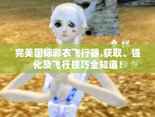 完美国际彩衣飞行器,获取、强化及飞行技巧全知道！