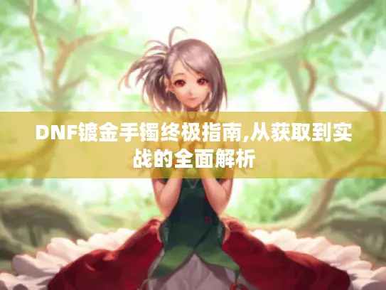 DNF镀金手镯终极指南,从获取到实战的全面解析