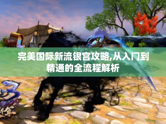 完美国际新流银宫攻略,从入门到精通的全流程解析