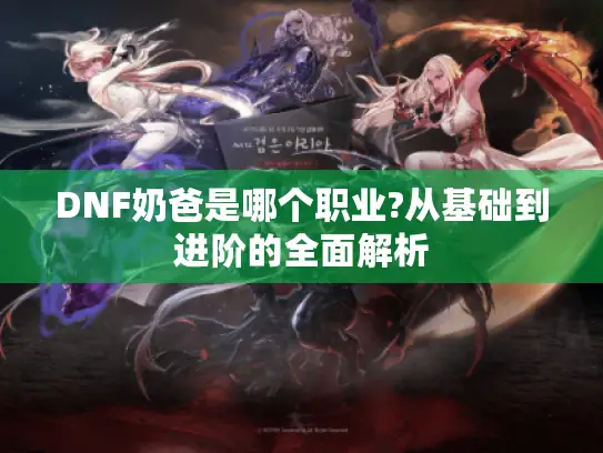 DNF奶爸是哪个职业?从基础到进阶的全面解析