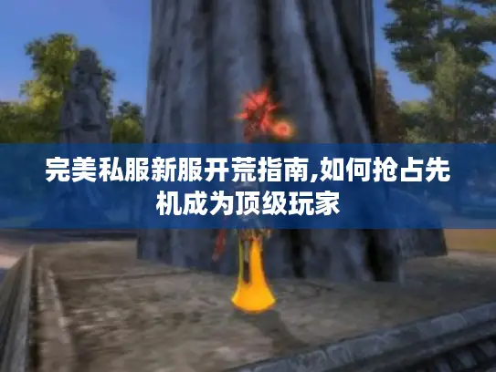 完美私服新服开荒指南,如何抢占先机成为顶级玩家