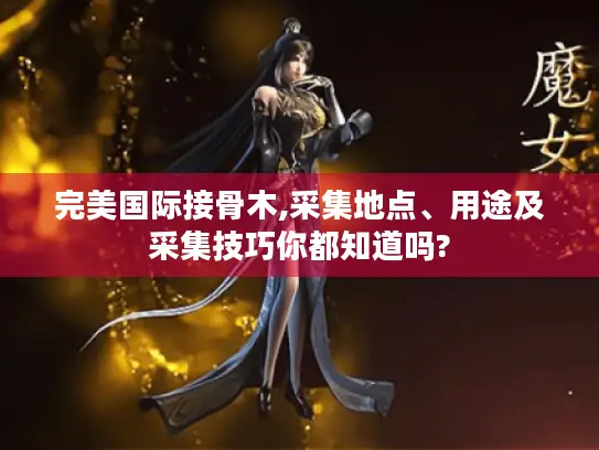 完美国际接骨木,采集地点、用途及采集技巧你都知道吗?