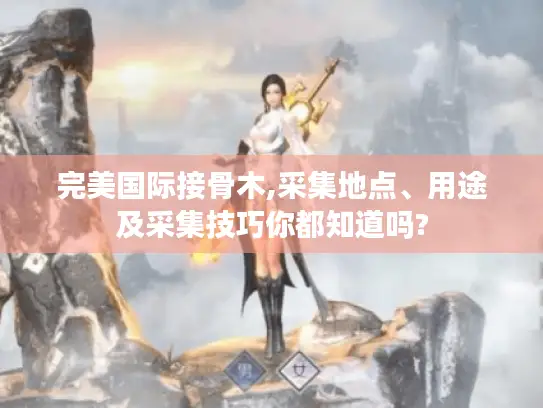 完美国际接骨木,采集地点、用途及采集技巧你都知道吗?