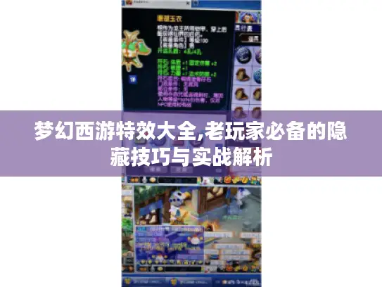 梦幻西游特效大全,老玩家必备的隐藏技巧与实战解析 梦幻西游特效大全,老玩家必备的隐藏技巧与实战解析