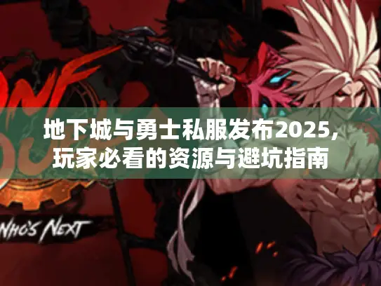 地下城与勇士私服发布2025,玩家必看的资源与避坑指南