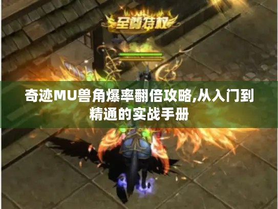 奇迹MU兽角爆率翻倍攻略,从入门到精通的实战手册