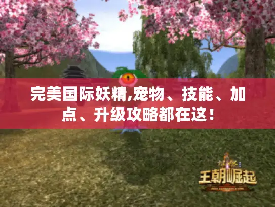 完美国际妖精,宠物、技能、加点、升级攻略都在这！