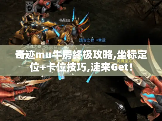 奇迹mu牛房终极攻略,坐标定位+卡位技巧,速来Get！