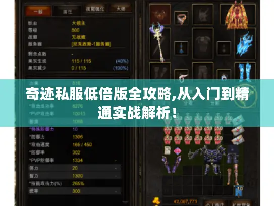 奇迹私服低倍版全攻略,从入门到精通实战解析！