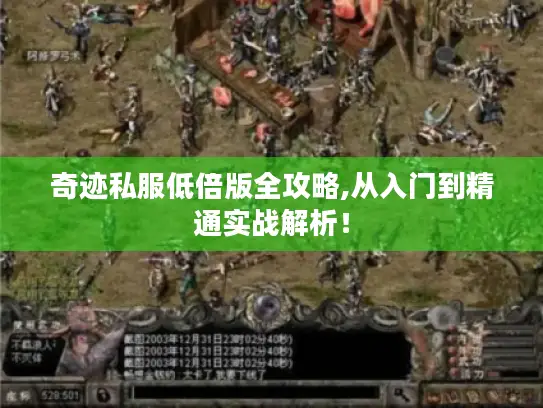 奇迹私服低倍版全攻略,从入门到精通实战解析！