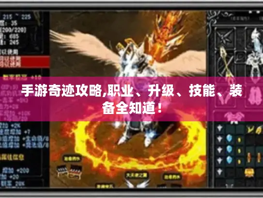 手游奇迹攻略,职业、升级、技能、装备全知道！