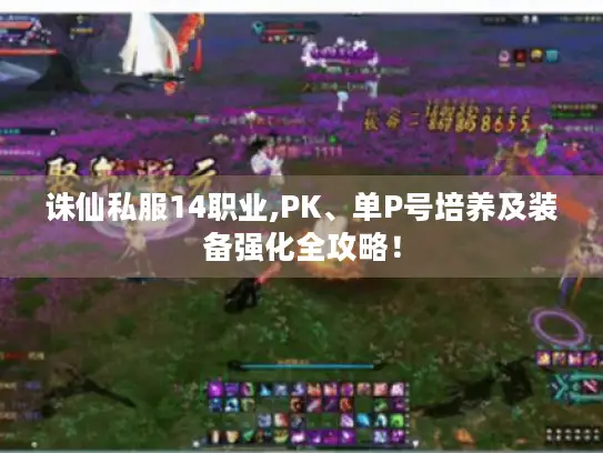 诛仙私服14职业,PK、单P号培养及装备强化全攻略！