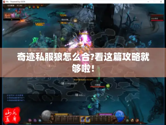 奇迹私服狼怎么合?看这篇攻略就够啦！