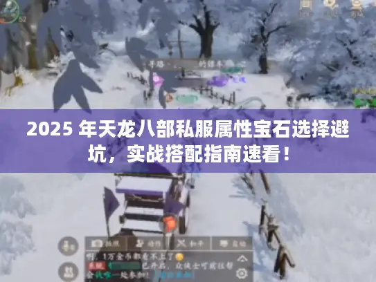 2025 年天龙八部私服属性宝石选择避坑，实战搭配指南速看！