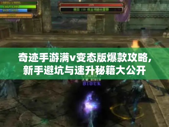 奇迹手游满v变态版爆款攻略,新手避坑与速升秘籍大公开