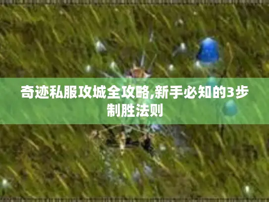 奇迹私服攻城全攻略,新手必知的3步制胜法则 奇迹私服攻城全攻略,新手必知的3步制胜法则