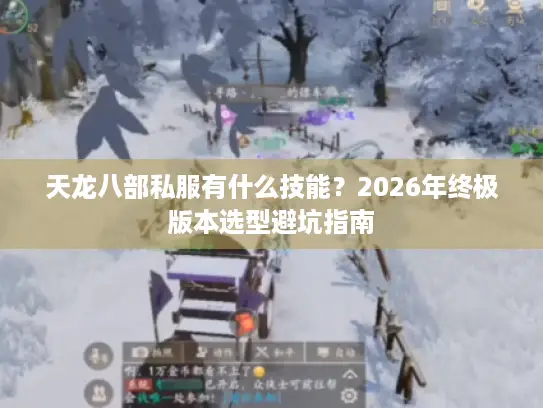 天龙八部私服有什么技能？2026年终极版本选型避坑指南