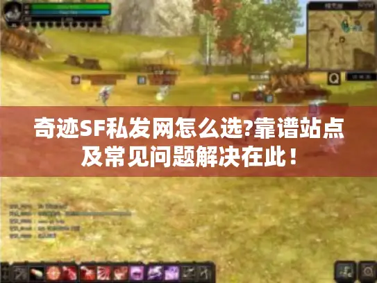 奇迹SF私发网怎么选?靠谱站点及常见问题解决在此！